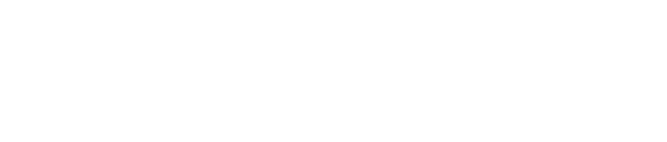 Serendipity Technology